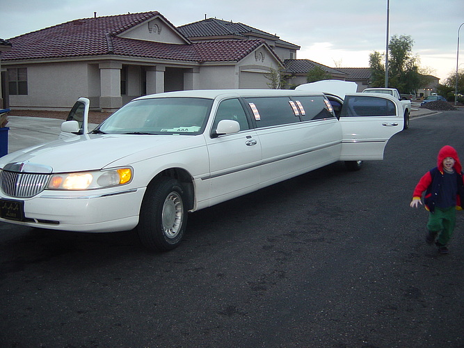 DSC02487.jpg