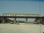 Entry to the Animal Kingdom