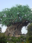 The hand-carved Tree of Life, icon for the Animal Kingdom.